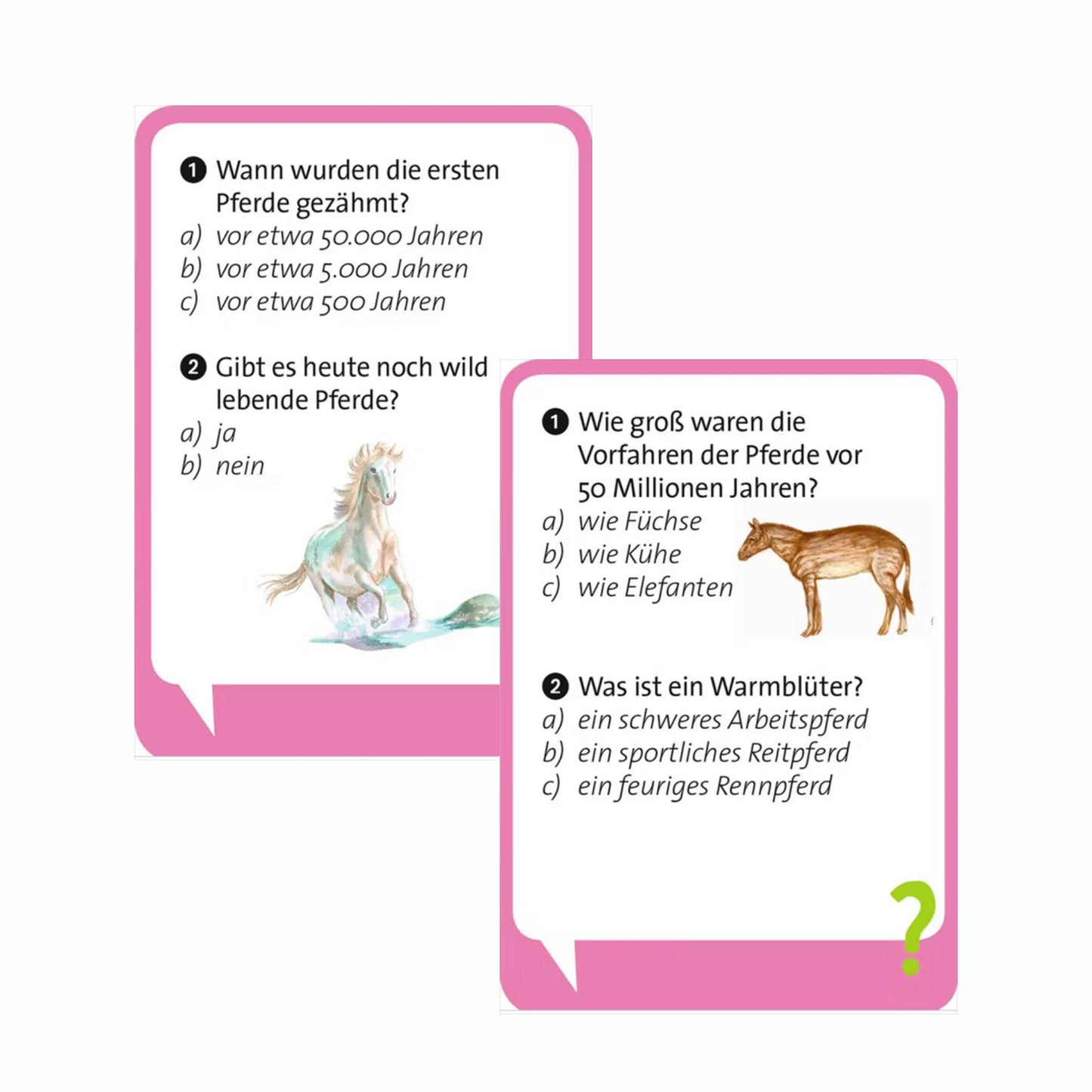 Pocket Quiz Junior Pferde (Spiel)