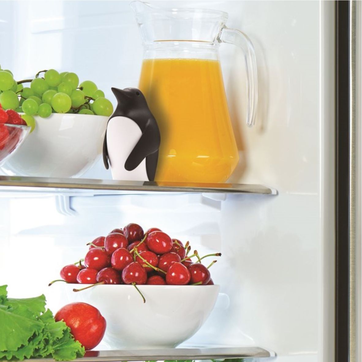 Monkey Business Chill Bill - Geruchsneutralisierer für den Kühlschrank