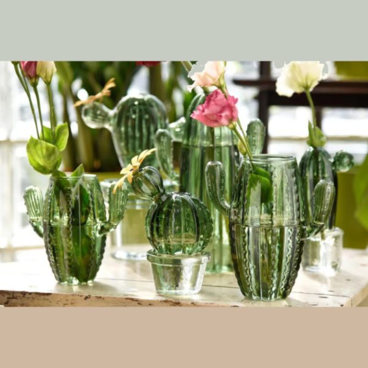 MAGS - Kaktus-Glasvase