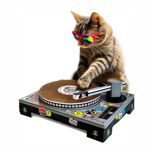DJ Katze Kratzplattenspieler