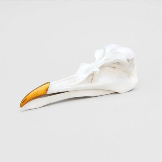 Suck UK | Schmuckbox  - BIRD SKULL