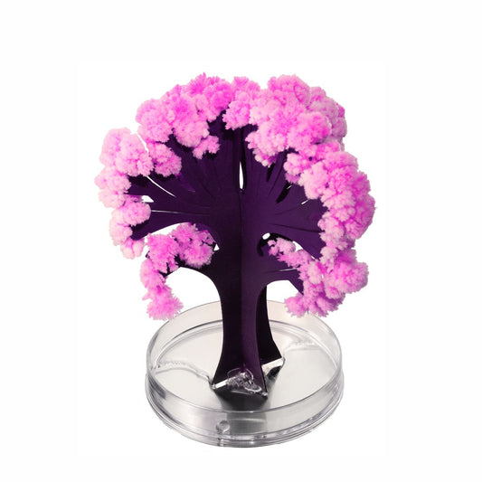 Magic Sakura Kirschblüten Baum