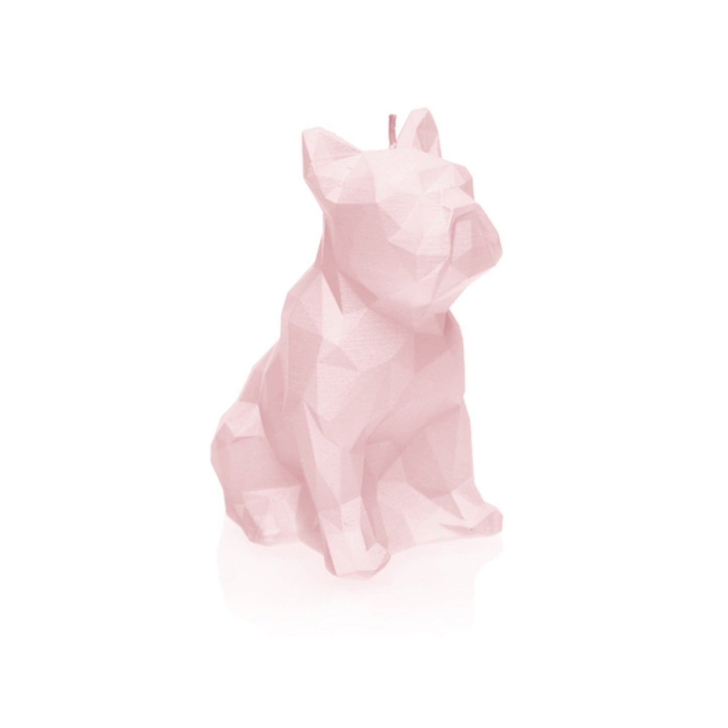 Candellana Bulldog Kerze - hellrosa