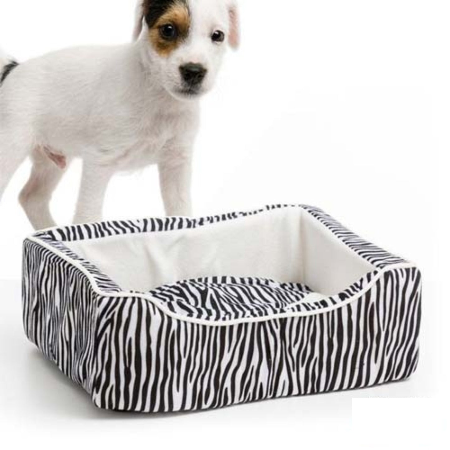 Hundekorb - Zebra